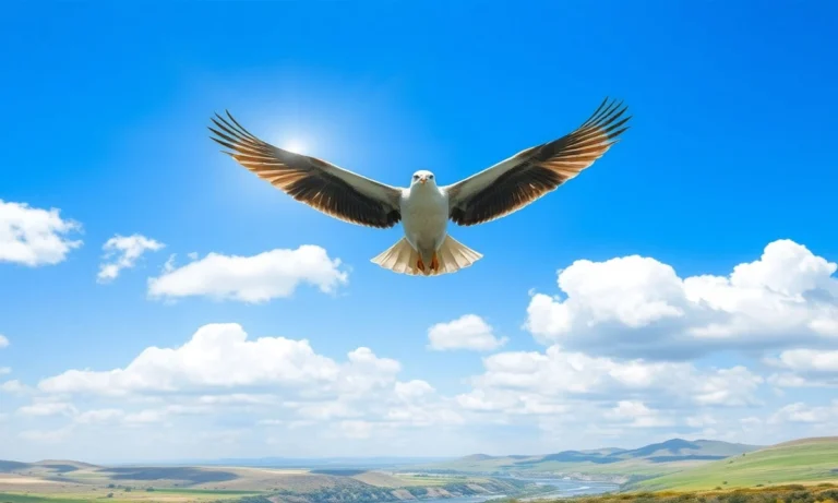 180+ independence day captions for instagram