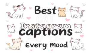 297 Cat Captions for Instagram That Ignite Pure Joy