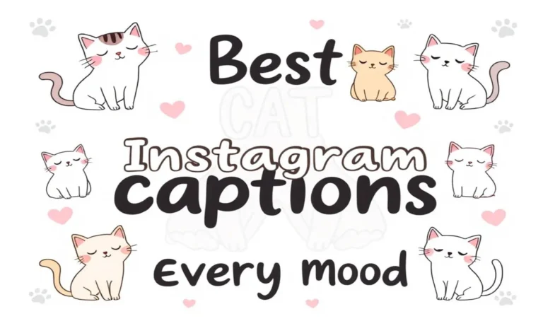 297 Cat Captions for Instagram That Ignite Pure Joy
