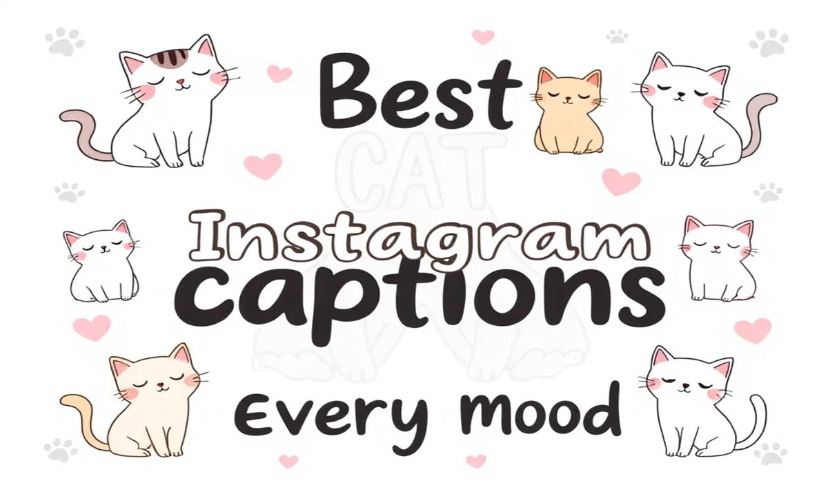 297 Cat Captions for Instagram That Ignite Pure Joy