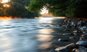 478 River Captions for Instagram That Embrace Flow & Peace