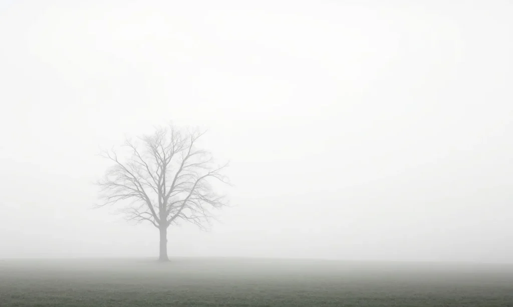 One-Word Fog Captions for Instagram